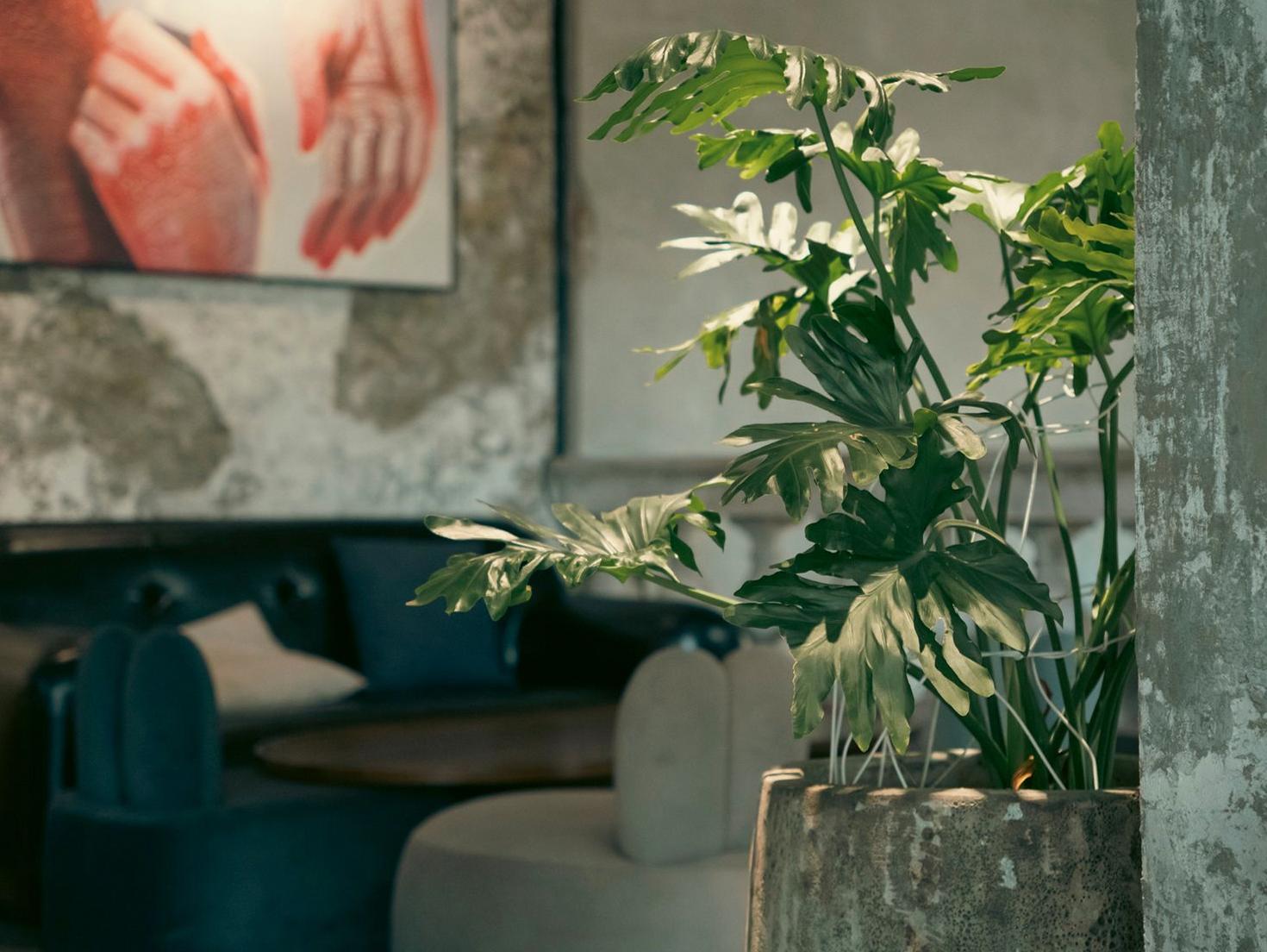 Lounge area